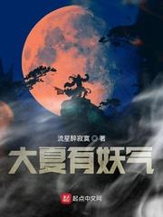 大夏小说