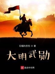 大明武勋小说下载