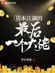 资本江湖的最后一个大佬TXT下载