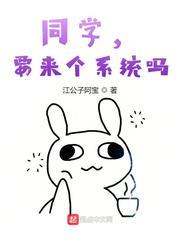 要来个系统吗?
