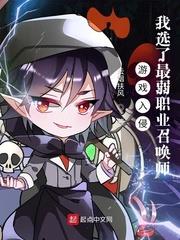 游戏入侵:我选了最弱职业召唤师百科
