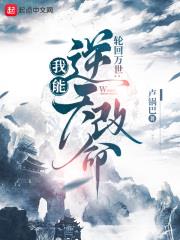 轮回模拟:我能逆天改命百度百科