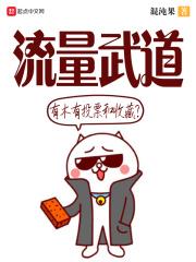 流量武道小说