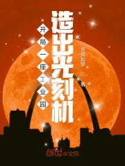 开局造出光刻机
