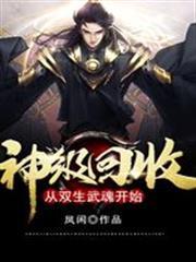 神级回收:从双生武魂开始 凤闲 小说