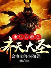 重生西游之齐天大圣TXT