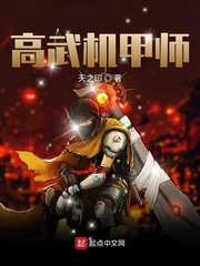 机动战士高达机甲介绍