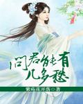 问君能有几多愁电视剧