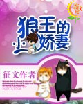狼王的小娇妻有声小说