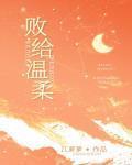 败给温柔小说讲的什么