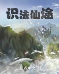 识法仙途无错