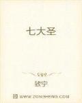 七大圣兽陀螺