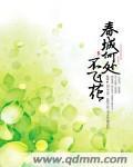 春城何处不飞花全诗