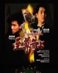 至尊无上之永霸天下国语免费观看