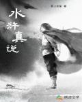 水浒真说TXT下载奇书网