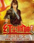 解密中国大案·4 小说