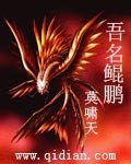 吾名鲲鹏在线阅读