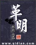 革明小说