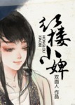 红楼小婢 小说 笔趣阁