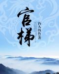 官梯丁二狗免费听书