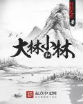 大林和小林主要内容