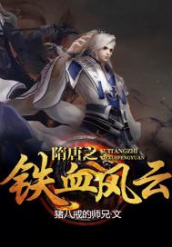 隋唐之铁血风云 小说