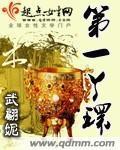 第一丫环全文免费阅读小说