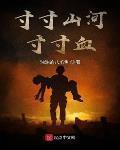 寸寸山河寸寸血QQ小说