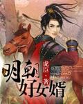 明朝好女婿全文免费阅读