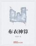 布衣神算字谜图