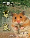 子鼠的意思