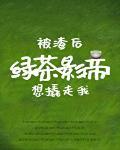 被渣后绿茶影帝想撬走我短剧全集