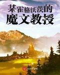 某霍格沃茨的魔文教授小说
