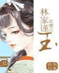 红楼之林家谨玉cp