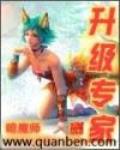 升级专家