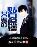女总裁的贴身保镖电视剧