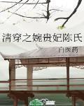 清穿之婉贵妃陈氏格格