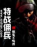 特战佣兵TXT下载