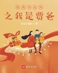 情满四合院之我是贾爸爸小说