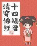 清穿锦鲤十四福晋百度云