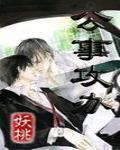 公事攻办by夭桃讲的什么