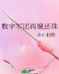 数字军团再聚还珠全文阅读