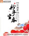 妙手生春小说TXT下载