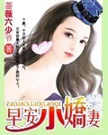 早安小娇妻免费全文阅读