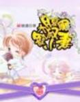 腹黑大叔宠小妻书包网手机版下载