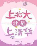 上北大还是上清华小说讲什么