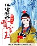 红楼衙内贾宝玉收了几个