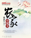 农家小地主百度云