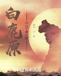 我成了鹿兆鹏 歌琰