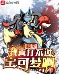 精灵宝可梦之我想打个酱油 小说